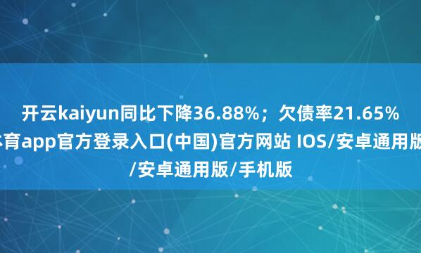 开云kaiyun同比下降36.88%；欠债率21.65%-kai云体育app官方登录入口(中国)官方网站 IOS/安卓通用版/手机版