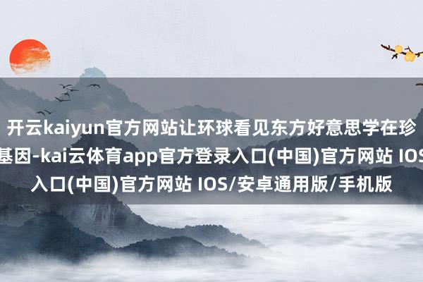 开云kaiyun官方网站让环球看见东方好意思学在珍珠肌理中流淌的私有基因-kai云体育app官方登录入口(中国)官方网站 IOS/安卓通用版/手机版