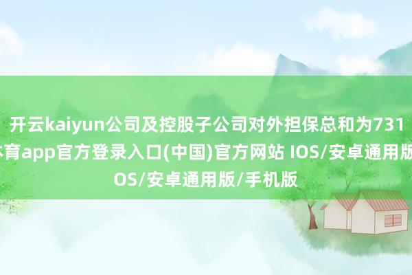 开云kaiyun公司及控股子公司对外担保总和为731-kai云体育app官方登录入口(中国)官方网站 IOS/安卓通用版/手机版