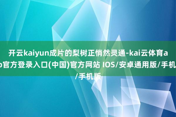 开云kaiyun成片的梨树正悄然灵通-kai云体育app官方登录入口(中国)官方网站 IOS/安卓通用版/手机版