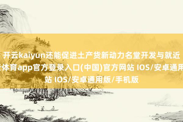 开云kaiyun还能促进土产货新动力名堂开发与就近消纳-kai云体育app官方登录入口(中国)官方网站 IOS/安卓通用版/手机版