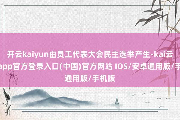 开云kaiyun由员工代表大会民主选举产生-kai云体育app官方登录入口(中国)官方网站 IOS/安卓通用版/手机版