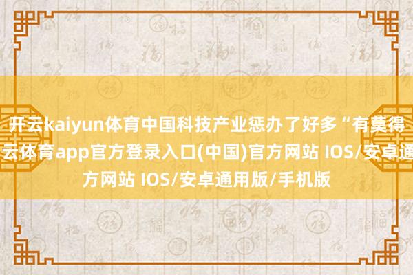 开云kaiyun体育中国科技产业惩办了好多“有莫得”的问题-kai云体育app官方登录入口(中国)官方网站 IOS/安卓通用版/手机版