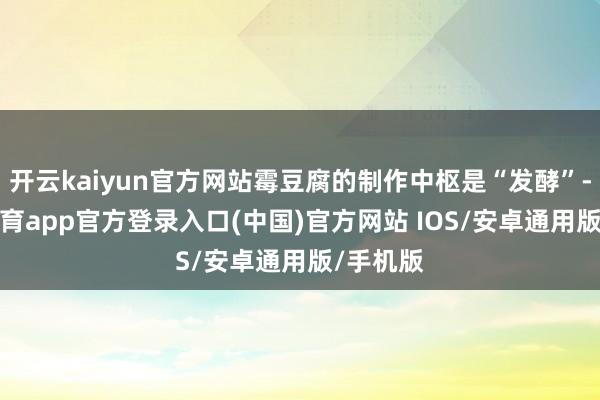 开云kaiyun官方网站霉豆腐的制作中枢是“发酵”-kai云体育app官方登录入口(中国)官方网站 IOS/安卓通用版/手机版